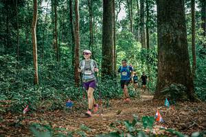 BIB: 
                            <button type="button" onclick="openModal(26134975)" class="btn btn-primary btn-sm float-right btn-popup" data-toggle="modal" data-target=".modal-high-quality">
                        <i class="fas fa-shopping-cart"></i> Add to Cart
                    </button>
                                            <button type="button" onclick="isThisMe(26134975, true)" class="btn btn-success btn-sm float-right btn-popup btn-isme hidden" data-toggle="tooltip" data-placement="bottom" title="นี่คือรูปของคุณใช่ไหม คลิกที่นี่เพื่อเอาเข้าอัลบั้ม">
                        <i class="fas fa-plus"></i> Add to album
                    </button>
                    <button type="button" onclick="isThisMe(26134975, false)" class="btn btn-warning btn-sm float-right btn-popup btn-isnotme hidden">
                        <i class="fas fa-ban"></i> Remove from album
                    </button>